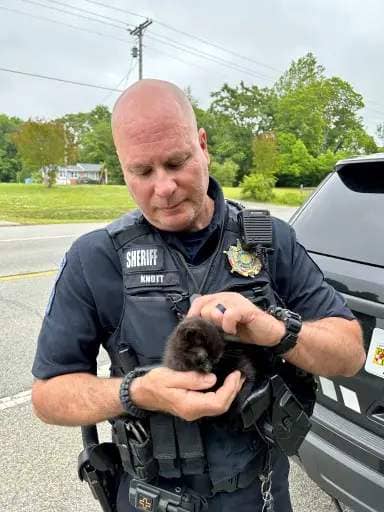 St. Mary's County Sheriff's Office Deputy Rescues Kitten From Roadway