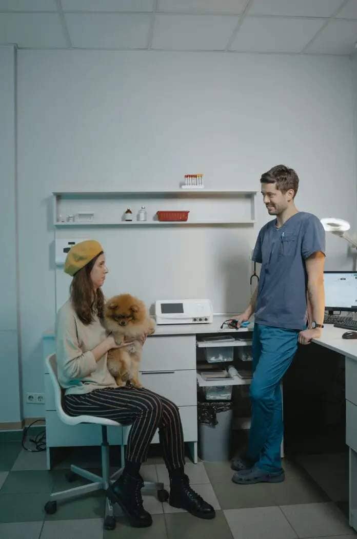 Decoding Vet Bills: Why Does Pet Healthcare Cost So Much?