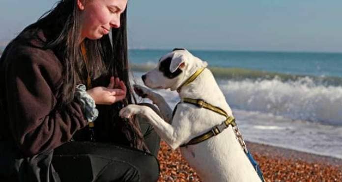 Chloe and Logan, her favourite canine companion at Dogs Trust.