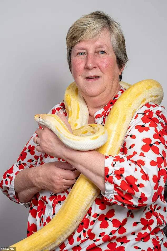 Rosie Kin, 63, from High Wycombe in Buckinghamshire, has adopted a 9ft-long python Amun-Ra