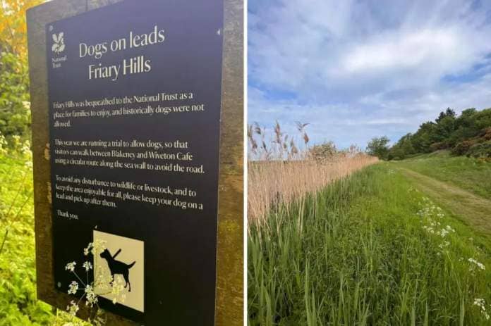 Dogs are now allowed at Friary Hills between Wiveton and Blakeney Picture: Wiveton Farm Cafe, Shop and Fruit Farm &lt;i&gt;(Image: Wiveton Cafe)&lt;/i&gt;