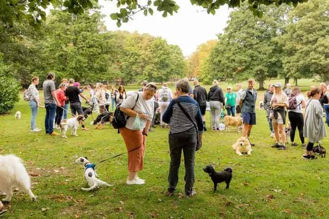 Wakefield Hospice's charity dog walk returns to the district next week.