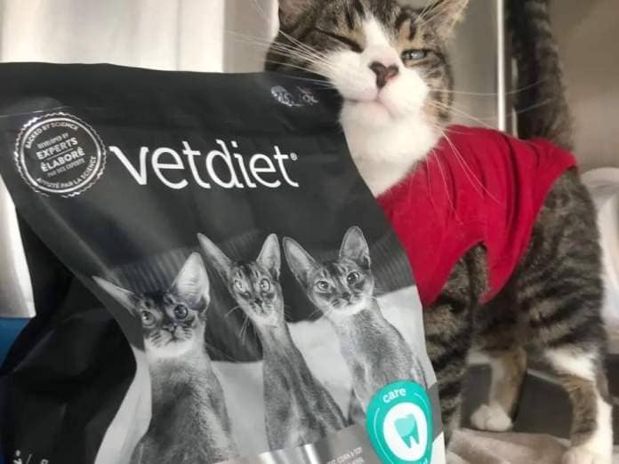 Mickey the cat scratches himself on a bag of donated food at the Renfrew County SPCA. The agency recently received thousands of kilograms of kibble from an anonymous donor. (Submitted by Heather Jobe - image credit)