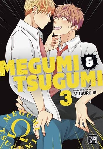 Cover image for MEGUMI & TSUGUMI GN VOL 03