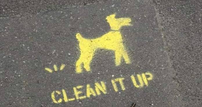 No fines were issued over dog fouling in Sheffield during 2022, with just 19 owners fined over the last five years for failing to clean up after their dogs