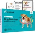 box art for the embark breed + health test in front of three phones displaying kit results