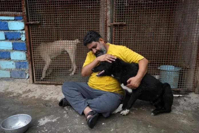 Iranian cleric Sayed Mahdi Tabatabaei caresses an impaired stray dog at his shelter outside the city of Qom, 80 miles (125 kilometers) south of the capital Tehran, Iran, Sunday, May 21, 2023. It's rare these days for a turbaned cleric in Iran to attract a large following of adoring young fans on Instagram, but Tabatabaei has done it by rescuing street dogs in defiance of a local taboo. (AP Photo/Vahid Salemi)