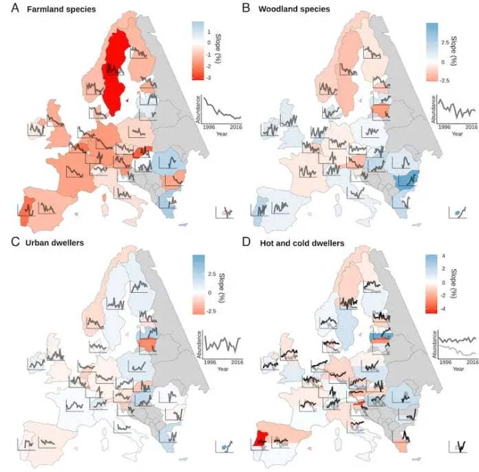 A figure comparing four maps of Europe according to declines among different types of bird populations.