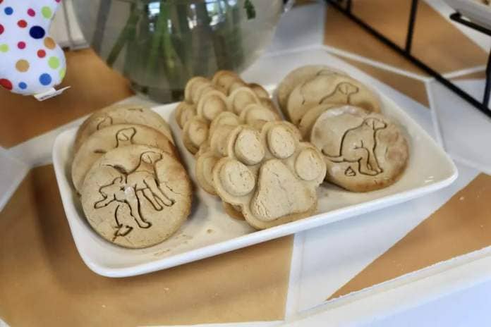Homemade dog treats by Amiyo Gill with Doggie Bakes are pictured inside Whisker and Bone in St. George, Utah, May 18, 2023 | Photo by Jessi Bang, St. George News