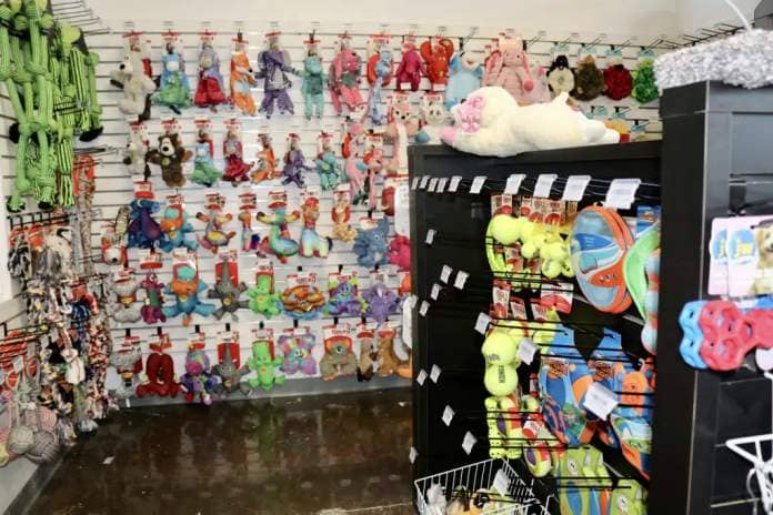 Dog toys line the walls inside Whisker and Bone in St. George, Utah, May 18, 2023 | Photo by Jessi Bang, St. George News