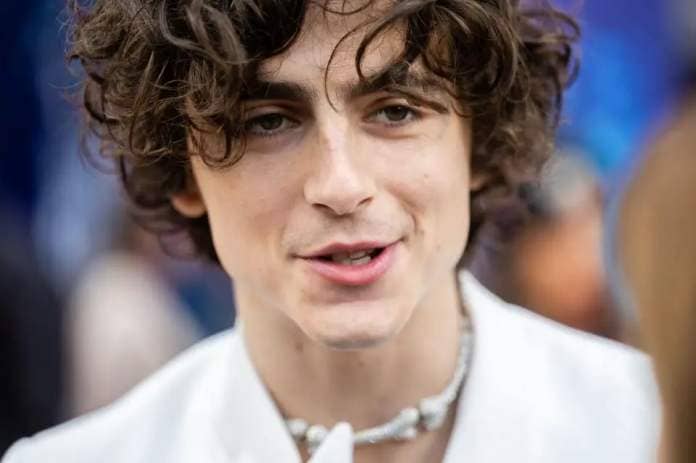 a close up of timothee chalamet star of wonka a good housekeeping pick for best kids movies 2023