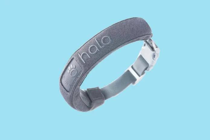 “Halo Collar allows you to easily create boundaries anywhere you go and to communicate them to your dog in a way they will understand. Just access my 21-day training program.” Halo 2+ wireless dog fence and GPS dog collar, $700 at HaloCollar.com 
