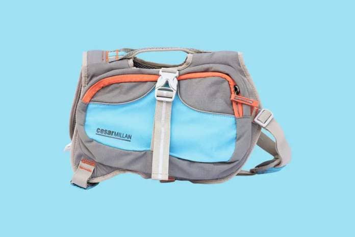 “A dog backpack gives dogs a purpose, mental stimulation, and it helps to discipline the mind.” Cesar Millan dog backpack, $51 at Amazon.com 
