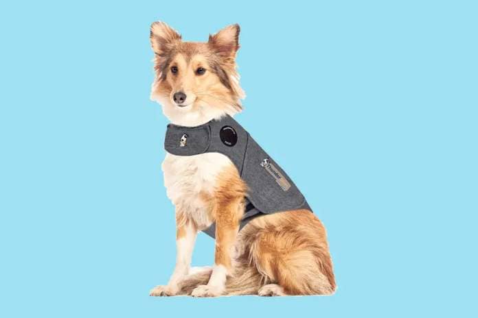 “A ThunderShirt helps calm the excitement, anxiety and fear in your dog.” Dog anxiety vest, $50 at ThunderShirt.com 
