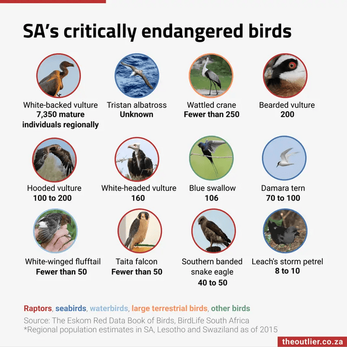 Criticallyendangeredbirds