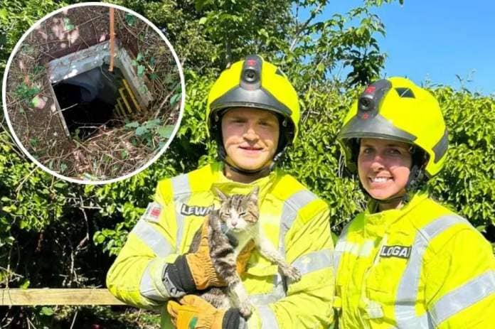 Firefighters rescue trapped cat from drain <i>(Image: Oxfordshire Fire and Rescue)</i>
