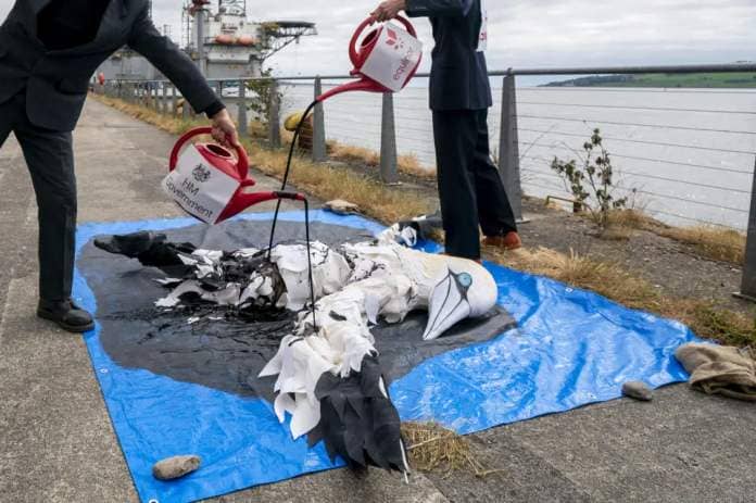 Protesters coated the large gannet in faux oil (Jane Barlow/PA)