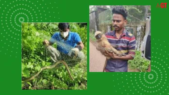 SAWE, Goa, is organising a session on ‘Animal Rescue Training’ on June 18, 2023