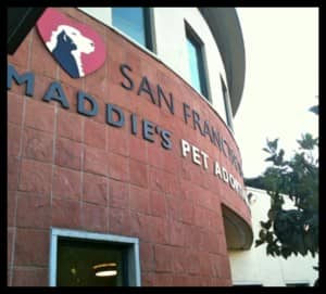 Maddie's Adoption Center