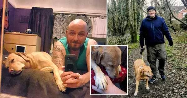 Dad-of-three and pet dog both diagnosed with kidney cancer at same time