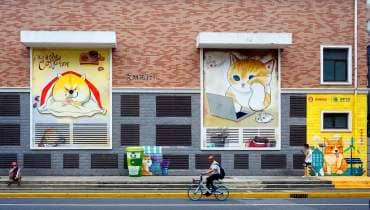 Photo taken on May 31, 2023 shows walls of Caojiadu Community in Shanghai decorated with murals of adorable cats and dogs. /CFP