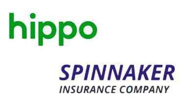 hippo-spinnaker-logos