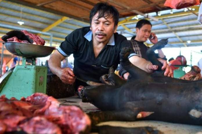 Canine and feline meat were on the menu alongside bats, rats, snakes and monkeys at the Tomohon Extreme Market until the ban (Bay ISMOYO)