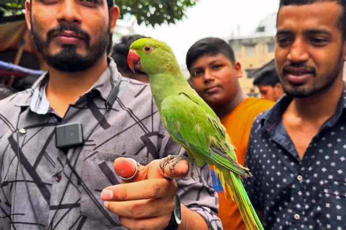 Sellers show a parakeet for sale in Bangladesh on a YouTube video.