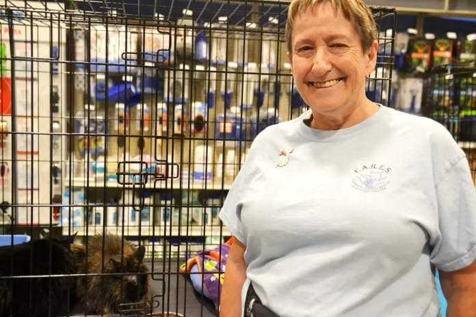 Donna Healey-Ogden is a volunteer for CARES cat shelter, and helped oversee the cat Adopt-A-Thon at PetSmart on Saturday, Aug. 26. (Kyler Emerson/Langley Advance Times)