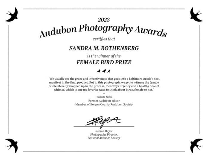 Certificate of Audubon Photography Award. It reads, "2023 Audubon Photography Awards certifies that Sandra M. Rothenberg is the winner of the female bird prize. A quote from Purbita Saha, former Audubon editor and member of Bergen County Audubon Society, reads "we usually see the grace and inventiveness that goes into a Baltimore Oriole's nest manifest in the final product. But in this photograph, we get to witness the female oriole literally wrapped up in the process. It conveys urgency and a healthy dose of whimsy, which is one of my favorite ways to think about birds, female or not." The certificate is signed at the bottom by Sabine Meyer, photography director of the National Audubon Society. 
