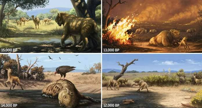 illustration of paleolithic animals