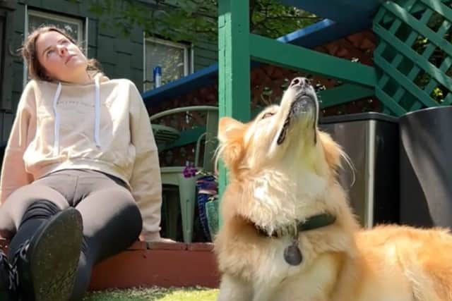 The moment a woman and her pet dog both witnessed a bird 'drop dead' - and both reacted in exactly the same way (Photo: xIsabelKlee)