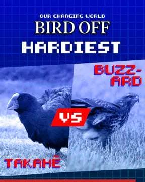 A blue-tinged computer game-style graphic with the words: Our Changing World Bird Off: Hardiest