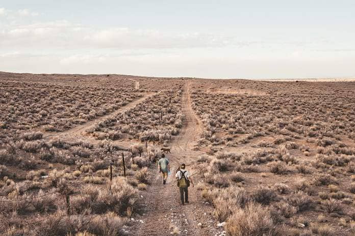 two hunters walk down long, dry dirt road through desert with dogs
