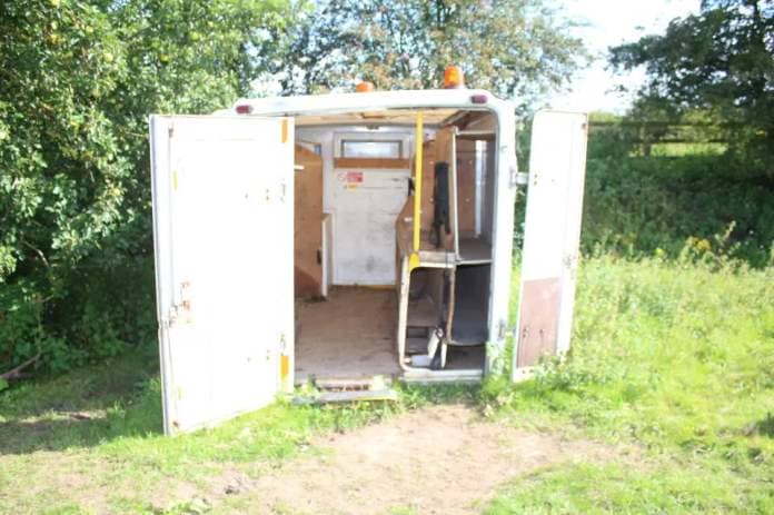The three equines had this dangerous old work container for shelter (RSPCA/Supplied)