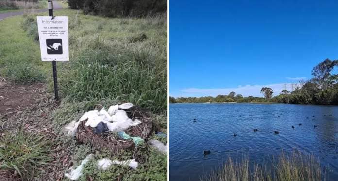 A photo of dog bags dumped on a tree stump in Jells Park. A photo of Dandenong Creek.