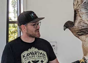 Zack Steele holds red-tailed hawk