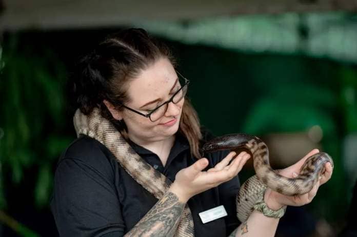 Snake Safe Victoria will be hosting half hour demonstrations during the Field Days to educate visitors about Australia's amazing native wildlife. Picture supplied