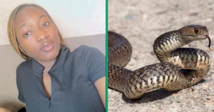 A woman discovered that her roommate has a snake