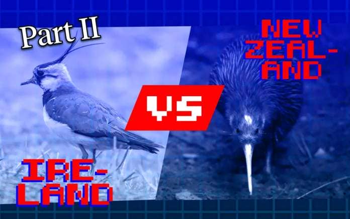 A streetfighter-style graphic showing a northern lapwing on the left with the word 'Ireland' overlaid, and a kiwi on the right with the words 'New Zealand' overlaid. There is a 'vs' in between the two images, and the words Part 2 above the lapwing.