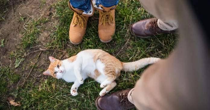 A cat laying at the feet of two people. 