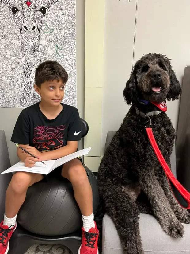 Students and teachers at Washington Elementary School find comfort in new therapy dog Milo.(PHOTO ROMEO COMMUNITY SCHOOLS)