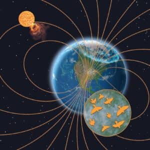 Conceptual and geographic layout of the study system. Space weather from the sun, such as coronal mass ejections, disturb Earth’s magnetic field, causing the auroras and potentially decreasing the magnetic field’s reliability for migrating birds. Image credit: John Megahan, University of Michigan, from 
Gulson-Castillo et al. in PNAS, October 2023