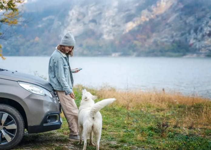 Young woman standing next to a car with a white shepherd dog on the shore of a mountain lake.