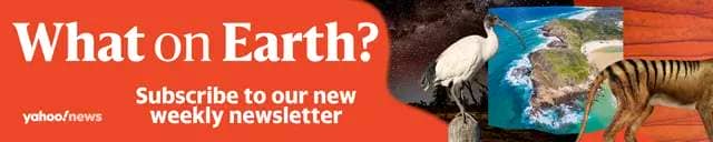 Banner reads 'What on Earth' with 'Subscribe to our new weekly newsletter' and a collage of images of australian natural wildlife. 
