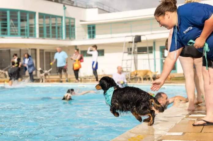 Bruce's making a splash at the Saltdean Lido (Photo: Submitted)