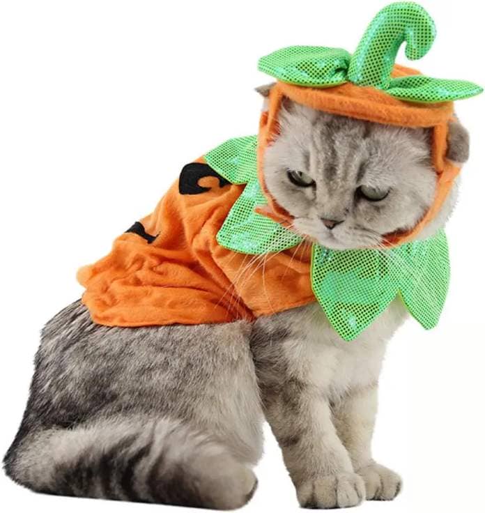 Bolbove Pet Pumpkin Costume for Cats & Small Dogs Party Halloween Cosplay Free Size Orange (Hat+Clothes)