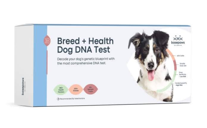 Basepaws Breed + Health Dog DNA Test
