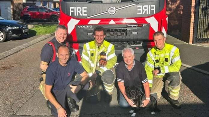 TWFRS reunited Tilly with her owner Dawn.