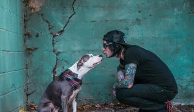 Maila, and her Rock Star best friend, L.A. Guns guitarist Ace Von Johnson team up with nonprofits Petco Love and Dogs Playing for Life to put the spotlight on Rockstar dogs in 43 animal shelters during national adoption events. Photo credit: Anabel DFlux